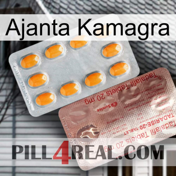 Ajanta Kamagra new13.jpg